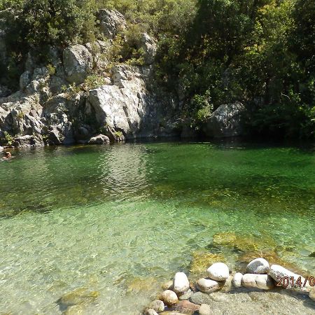 Location Vacances Linguizzetta Buitenkant foto