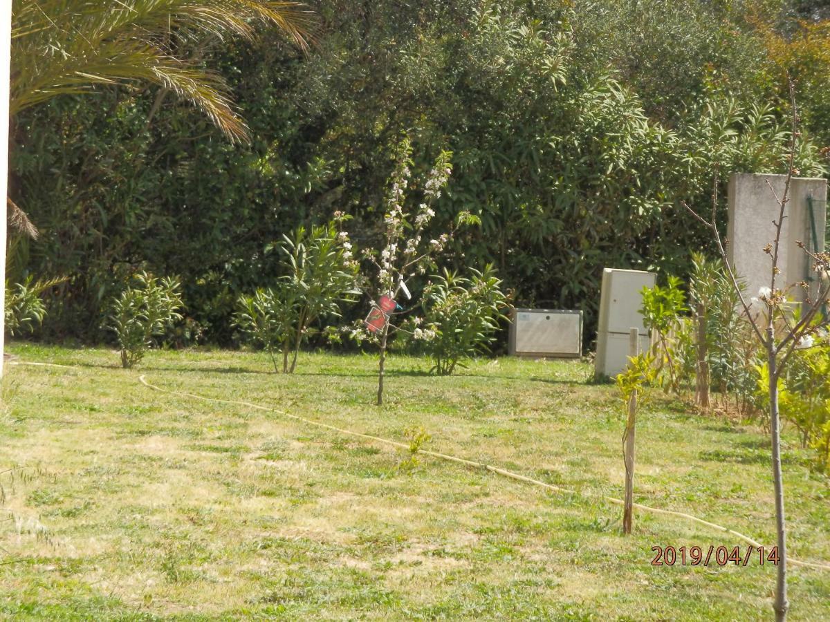 Location Vacances Linguizzetta Buitenkant foto